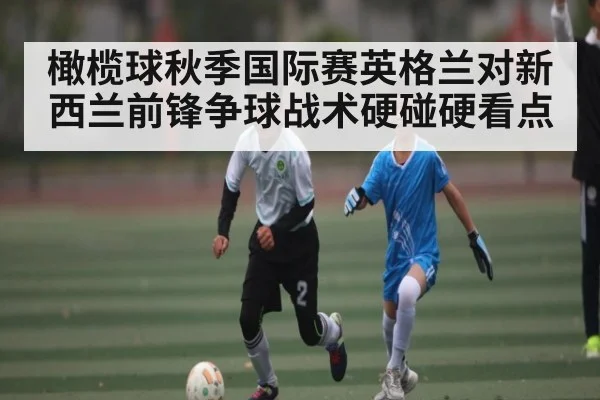 橄榄球秋季国际赛英格兰对新西兰前锋争球战术硬碰硬看点